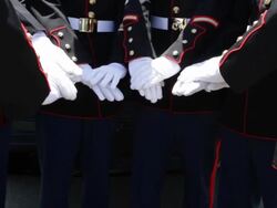 Marines Teamwork Stock Footage