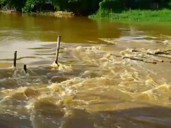 flood, Thailand Stock Footage