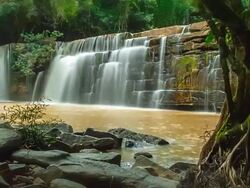 Waterfall in Thailand Stock Footage