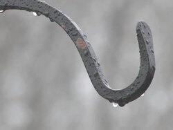 Rainy hook - HD 30F Stock Footage