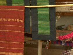 HA woman harvesting rice northeast of Hanoi / Vietnam Stock Footage