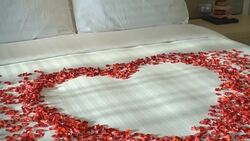 Pillow on bed Stock Footage