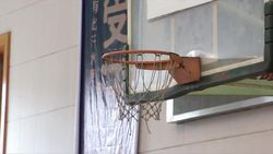 VOICED: Basketball: China searches for next Yao Ming News Clip