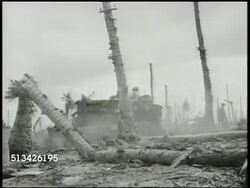 1944: BATTLE OF ENIWETOK:  VS The U.S. Navy Seabees construction battalion paving beach w/ bulldozers for airstrip, knocking over tropical trees, Navy workers cutting down trees, beach w/ downed trees. WWII, Pacific Front, aka Enewetak Instructional Video