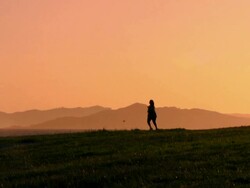 Running and Biking (HD) Stock Footage