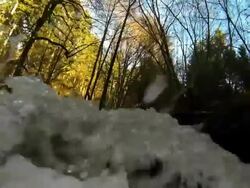 HD Wild forest river POV Stock Footage