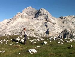 HD: Healthy Lifestyle Stock Footage