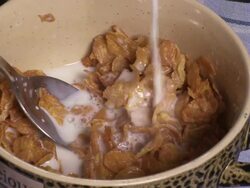 Corn flakes Stock Footage