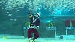 VOICED : Santa Claus cambia los aires por el agua News Clip