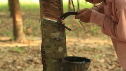 Tapping Stock Footage