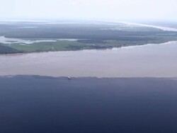 AERIAL: General Views Of Manaus in Brazil Stock Footage