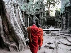 MS Three Monks in Saffron robes walking  inside of temple  / Cambodia Stock Footage