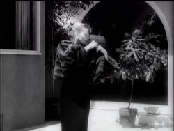 FASHIONS - BATHING AND FURS News Clip