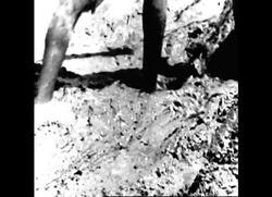 RR7408B THAILAND/INDIA: PROBLEMS OF AID News Clip