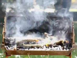 Fire grate Stock Footage