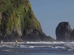 Cannon Beach Haystack Rock Stock Footage