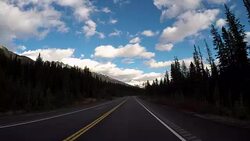 Car driving on Icefields parkway scenic road Stock Footage