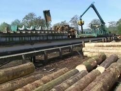 MS PAN Log moving through log lift crane in lumberyard at saw mill / Schweich, Rhineland Palatinate, Germany Stock Footage