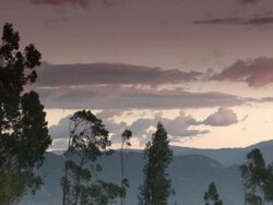 "Tops of trees blowing in wind, lavender skies and hazy mountains behind, Amazonas region of Peru [PerÃƒÂº]" Stock Footage