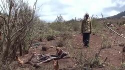 VOICED: Insurance payouts for drought victims News Clip