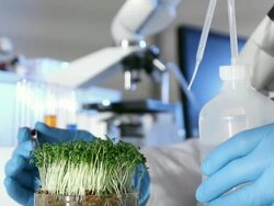 Biotechnology Growth Stock Footage