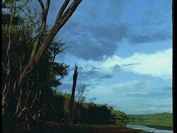 WA view across river, sunny sky, South America Stock Footage