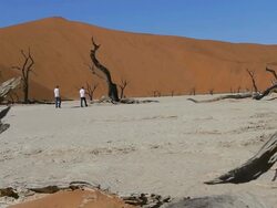 Dead Vlei Stock Footage