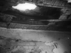 Europeans flee Algeria during civil war Stock Footage