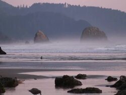 Sunset at Cannon Beach, Oregon Stock Footage