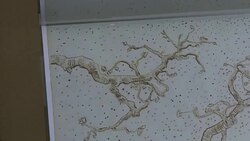 VOICED : Polemica en torno a dibujos ineditos atribuidos a Van Gogh News Clip