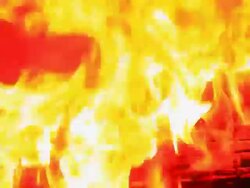 Raging campfire flames Stock Footage