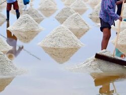 Salt harvesting, Thailand. Stock Footage
