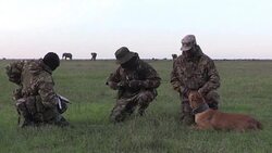 CLEAN : Burning ivory waging war: world battles poaching in 2016 News Clip