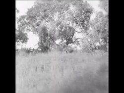 SYND 11/01/70 ARCHIVE / FILE BACKGROUND OF NIGERIAN CIVIL WAR News Clip