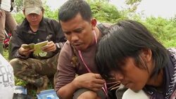 Elephant dung used to track population News Clip