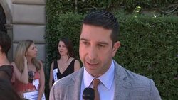 INTERVIEW - David Schwimmer at The Rape Foundation's Annual Brunch Stock Footage