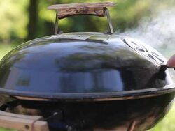 Barbecue Stock Footage