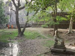 WS Buddhist monks carrying alms bowls walk past a pond through the lush grounds of an ancient temple in Angkor Wat on a misty morning / Siem Reap, Cambodia Stock Footage