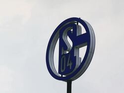 Schalke 04 Training Session - Editorial Footage Stock Footage