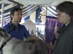 INTERVIEW: Jorge Bendersky at the North Shore Animal League Pet Adoptathon Weekend 2010 with Cesar Millan at Port Washington NY. (Footage by WireImage Video/GettyImages) Stock Footage