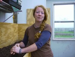 MS SLO MO Shot of young red hair woman in green house, with soil on her hands / Chatham, Michigan, United States Stock Footage