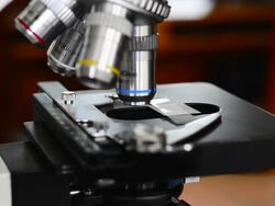 Microscopy (HD) Stock Footage