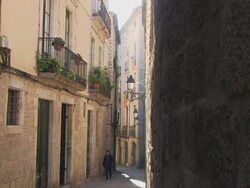 Catalonia Independence Flag Stock Footage