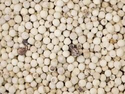 White pepper peas texture background Stock Footage