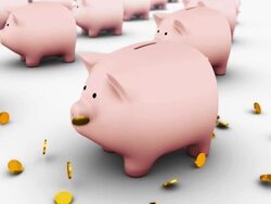 coins fall on one piggyt bank amidst an army of piggy banks Stock Footage
