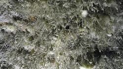 Inside the cave of El Soplao Stock Footage