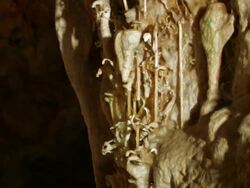 Limestone Stalactite Cave, Soreq cave, Avshalom Reserve, near Beit Shemesh, Israel Stock Footage