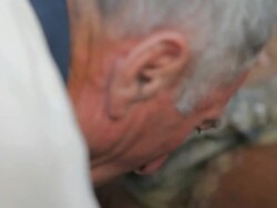 C/U Action of cut the hair of tail and mane of a horse, sequence Stock Footage