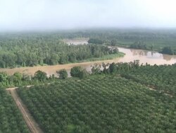 Aerial palm oil plantation and jungle, Maliau Basin, Sabah, Malaysia, Borneo Stock Footage