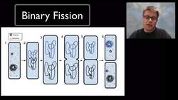 Cell Division Instructional Video
